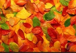 Huisartsenpraktijk Dr.Rasschaert