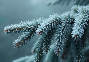 Huisartsenpraktijk Dr.Rasschaert